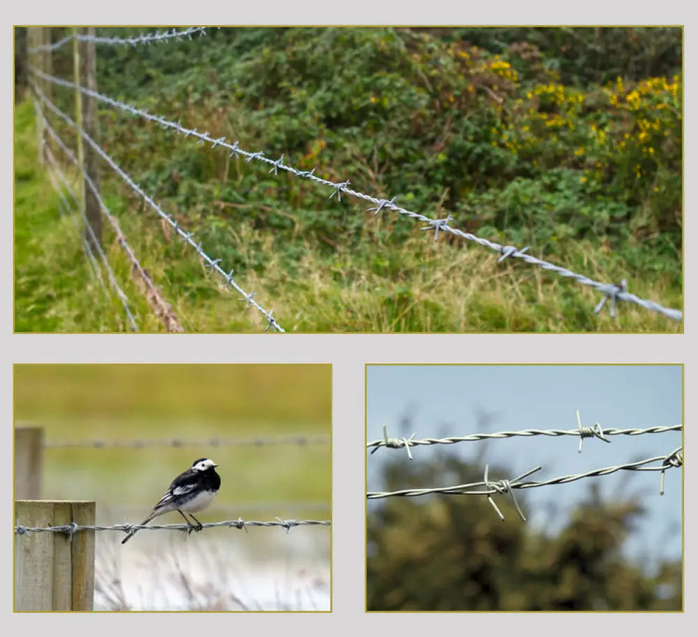 BODLJIKAVA ŽICA 100M