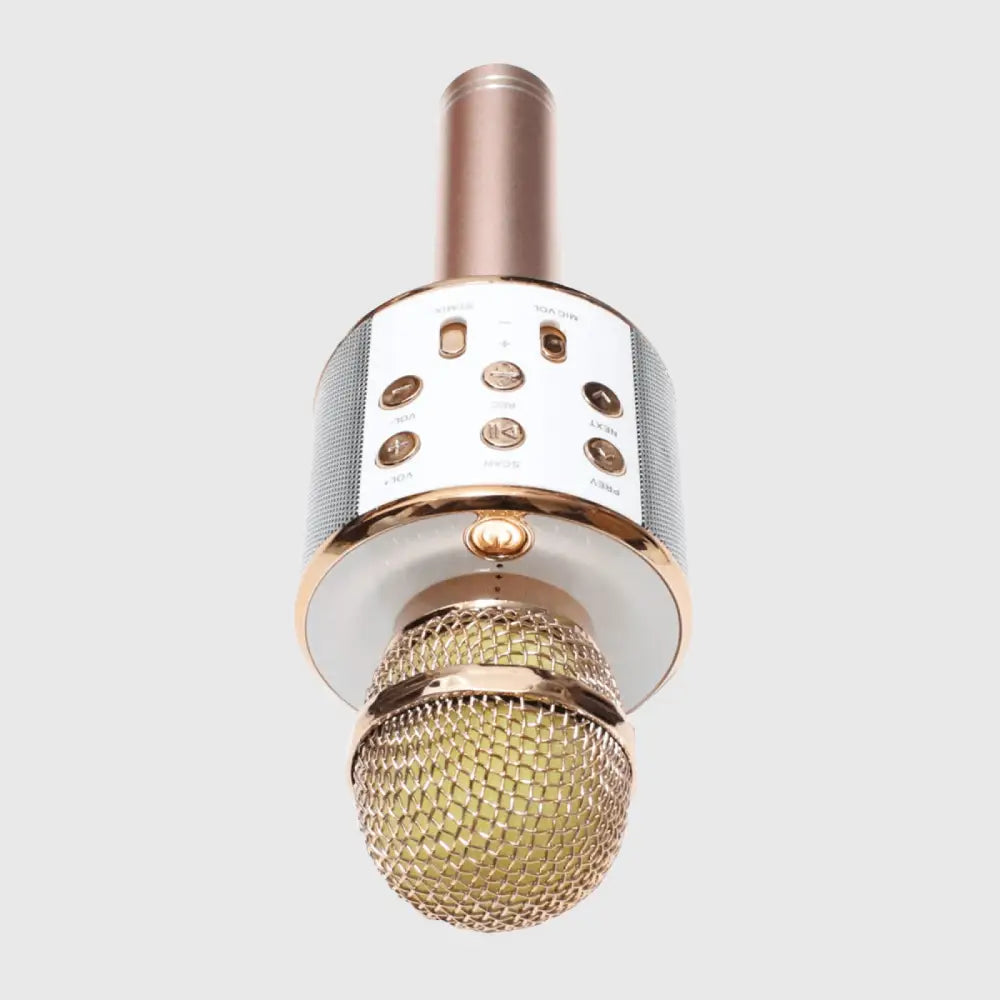 KARAOKE BLUETOOTH MIKROFON Elektronika