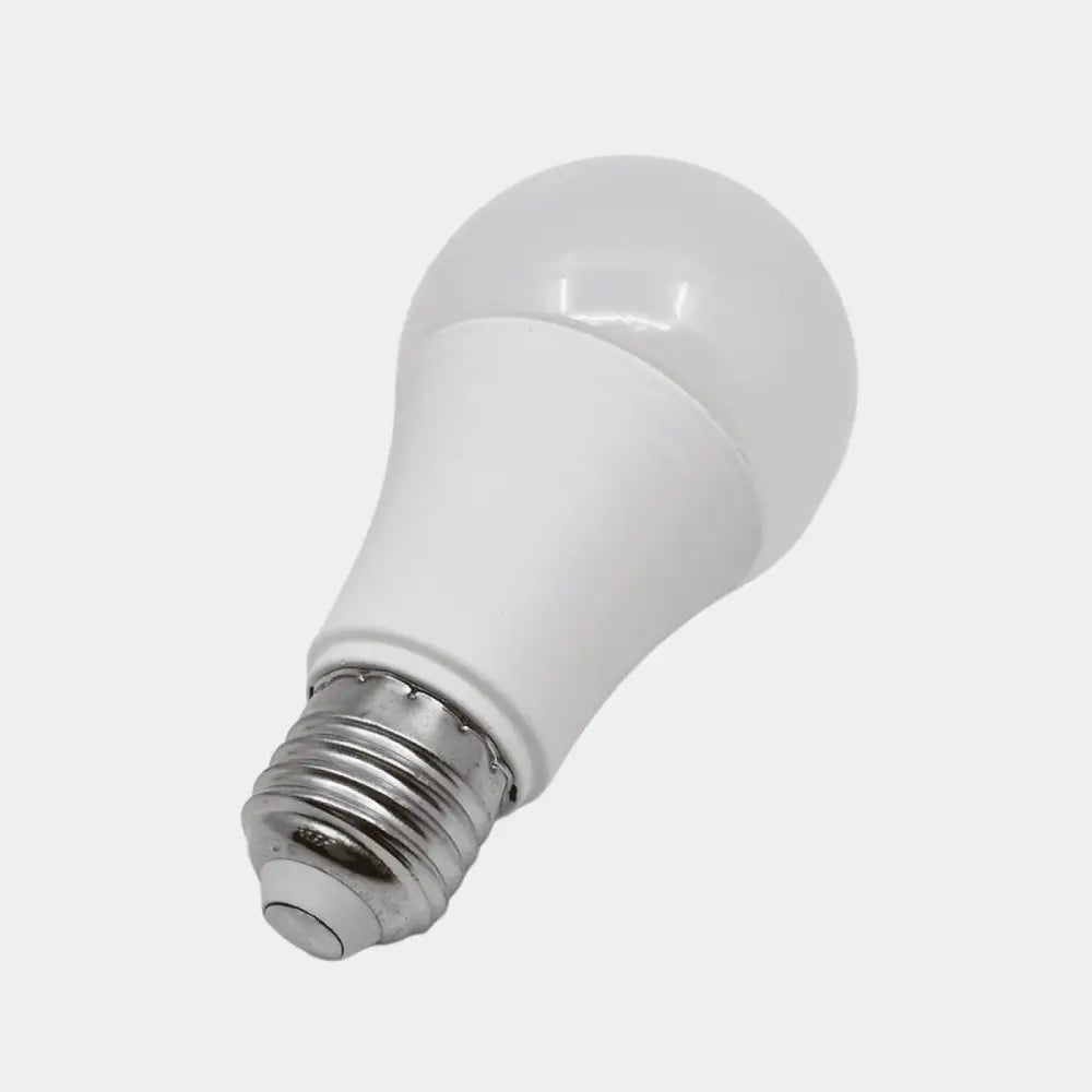 SET 10 KOM-LED SIJALICA 12 W